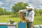Требуется помощник пчеловода